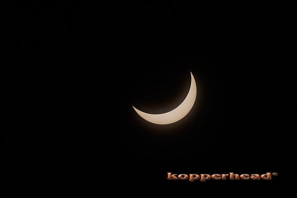 83799 04 2024 Kopperhead