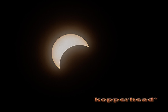 83658 04 2024 Kopperhead
