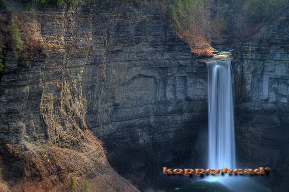 02863hx 04 2010 Kopperhead