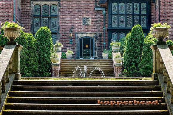 108805fS 06 2025 Kopperhead