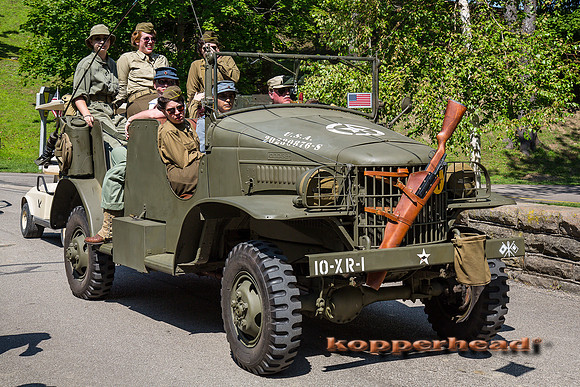 60485 08 2016 Kopperhead