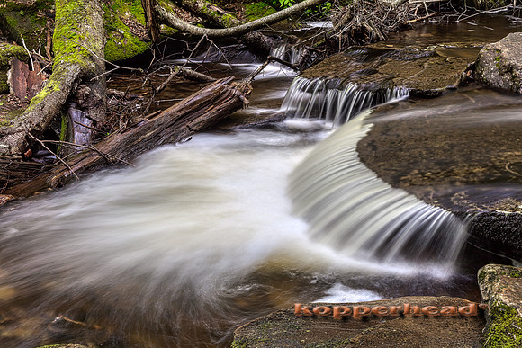 39933hA 06 2019 Kopperhead