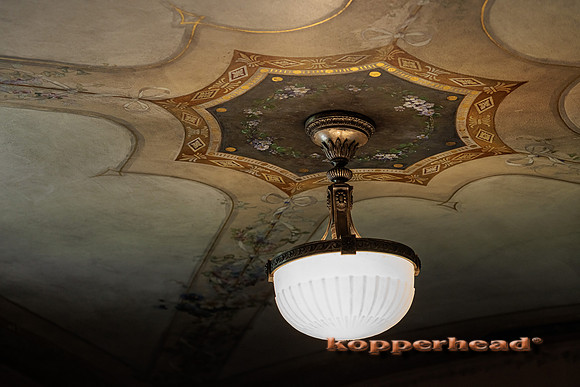 48986 08 2022 Kopperhead