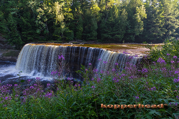 50524 07 2012 Kopperhead