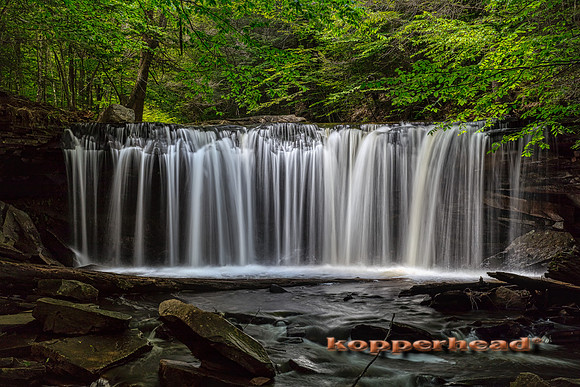 40371hA 06 2019 Kopperhead