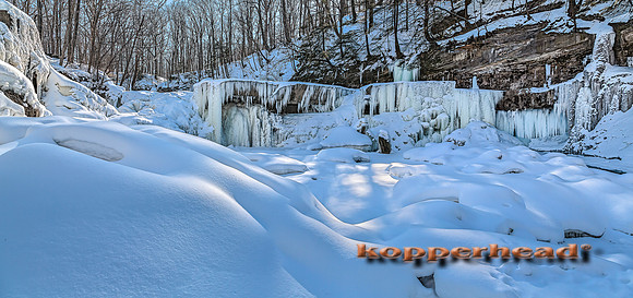 29974p 02 2015 Kopperhead