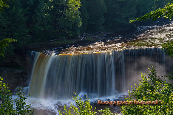 50469 07 2012 Kopperhead