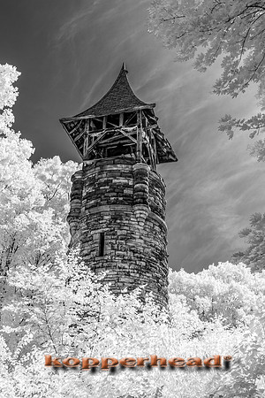 69490ir 06 2016 Kopperhead