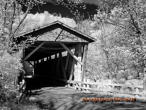 DSC00055 05 2014 Kopperhead