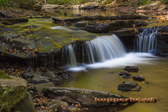 00262 10 2016 Kopperhead