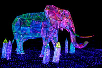 Asian Lantern Festival