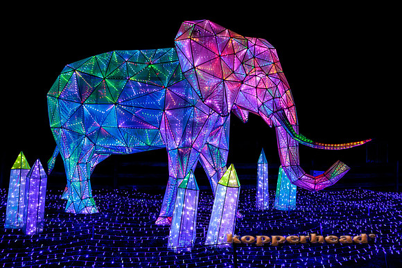 93061 07 2024 Kopperhead