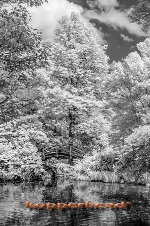 69461ir 05 2016 Kopperhead