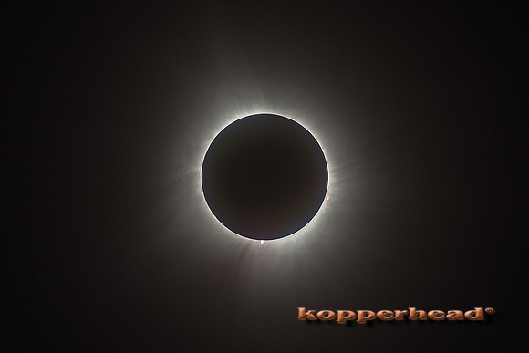 83750 04 2024 Kopperhead