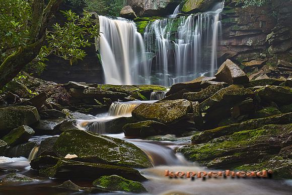 29409h 06 2011 Kopperhead.jpg