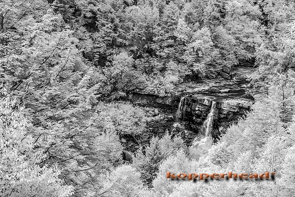 69689ir 07 2016 Kopperhead