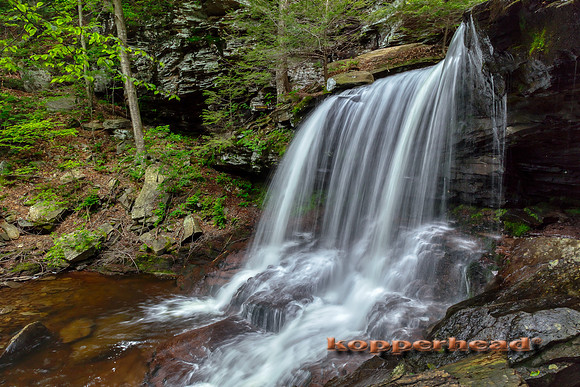 40045hA 06 2019 Kopperhead