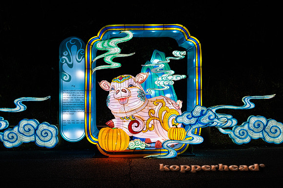 93044 07 2024 Kopperhead