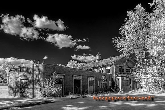 69968ir 09 2016 Kopperhead