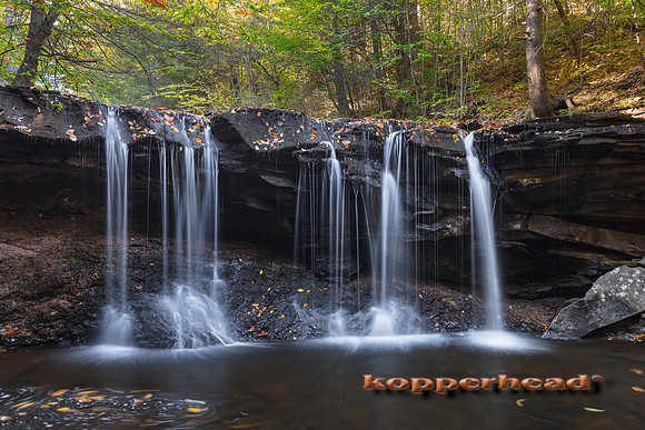 00334 10 2016 Kopperhead
