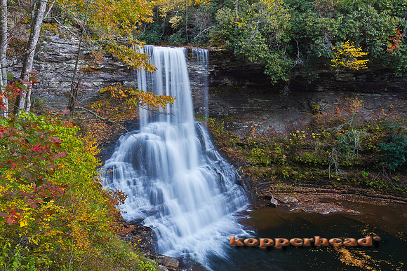 39063 10 2011 Kopperhead