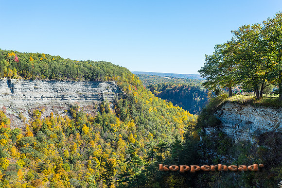 42973 10 2015 Kopperhead
