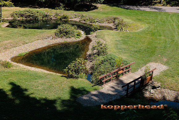 48928 08 2022 Kopperhead