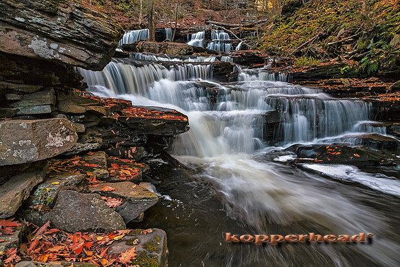 27196h 10 2014 Kopperhead