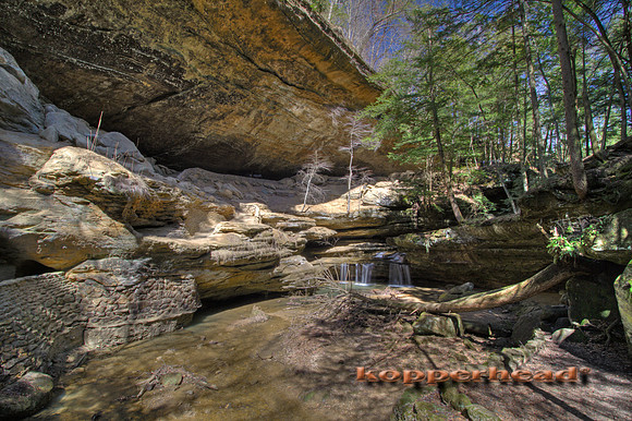 01740hx 03 2010 Kopperhead