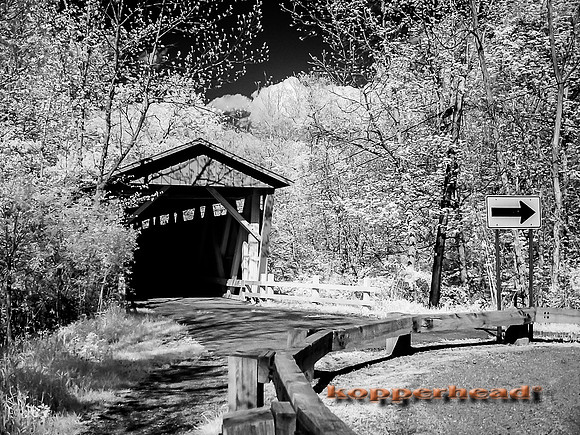 DSC00029 05 2014 Kopperhead