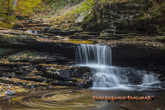 00273 10 2016 Kopperhead