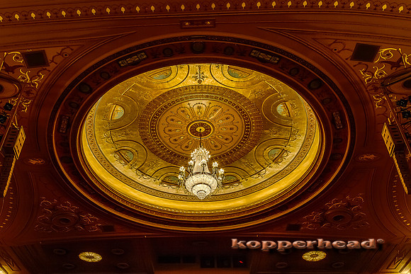 54817h 07 2012 Kopperhead