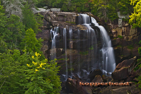 34825 08 2011 Kopperhead