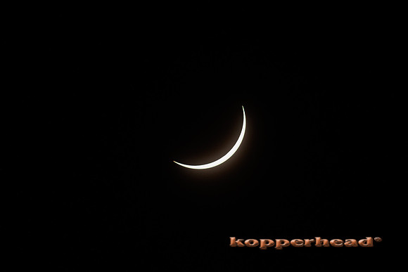 83774 04 2024 Kopperhead