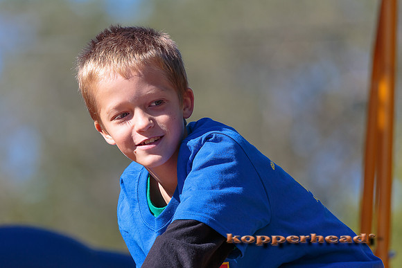 63310 10 2016 Kopperhead