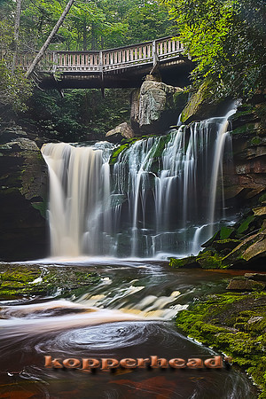 29385h 06 2011 Kopperhead.jpg