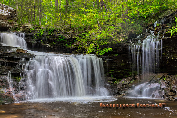 40024hA 06 2019 Kopperhead
