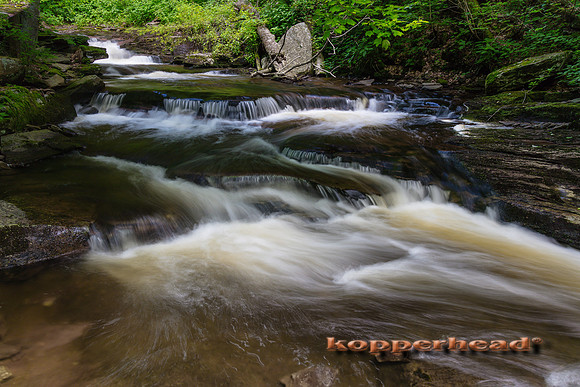 40153 06 2019 Kopperhead