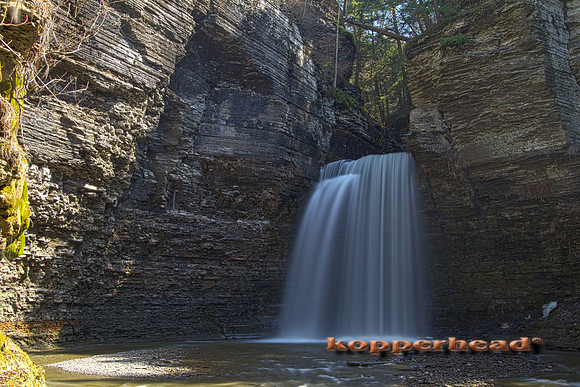 02694hx 04 2010 Kopperhead