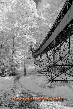 69860ir 07 2016 Kopperhead