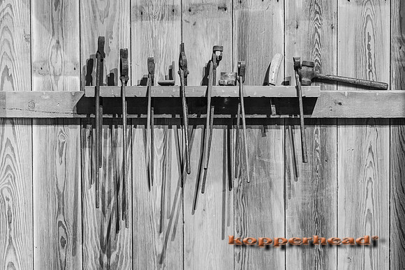 100522 01 2025 Kopperhead