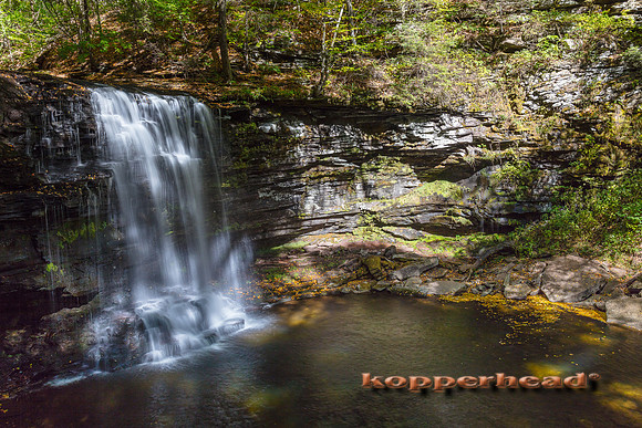 00206 10 2016 Kopperhead
