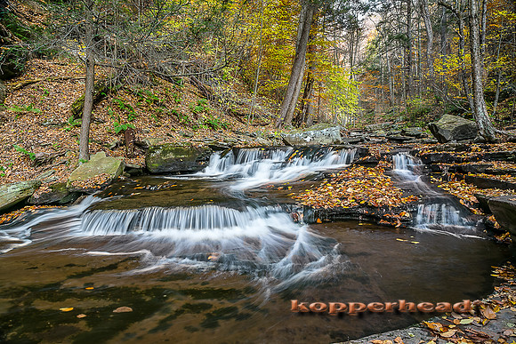 2770s 10 2014 Kopperhead