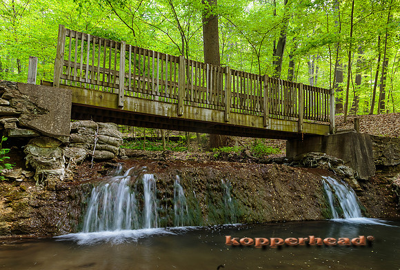 51737 05 2016 Kopperhead