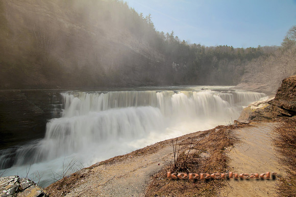 02349x 04 2010 Kopperhead