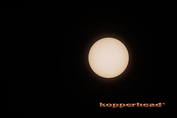 83936 04 2024 Kopperhead
