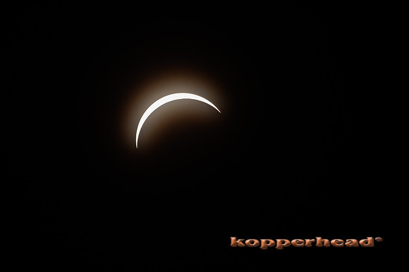83694 04 2024 Kopperhead