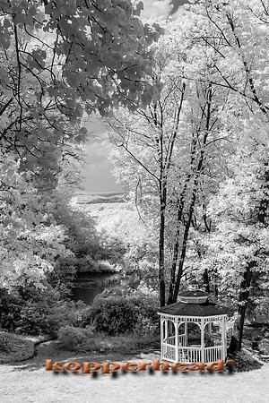 69427ir 05 2016 Kopperhead