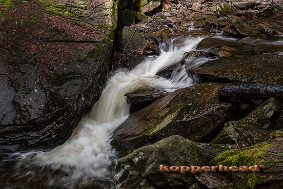 40054 06 2019 Kopperhead