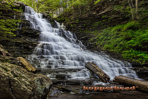 39804hA 06 2019 Kopperhead